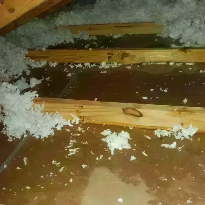 Attic Water Damage in Seabeck, WA